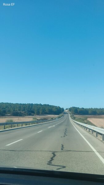 Forestación con pino carrasco en la carretera Albacete- Alicante 